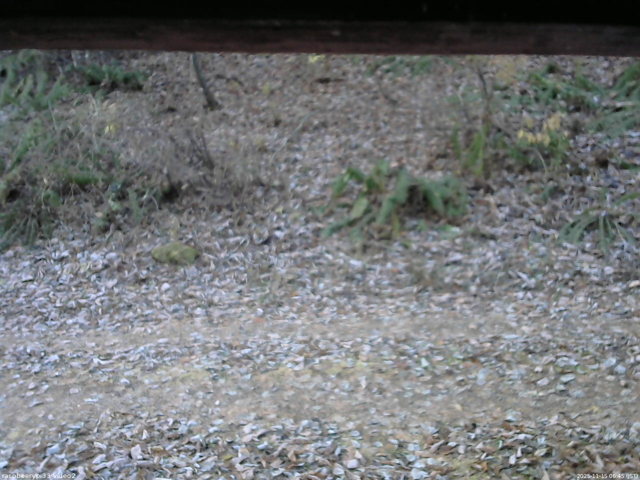長野県菅平高原 ゆたか山荘 南側 2025/11/15 06:45