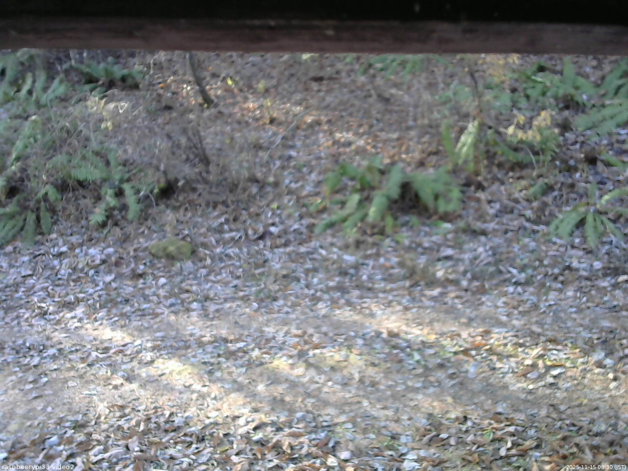長野県菅平高原 ゆたか山荘 南側 2025/11/15 08:30