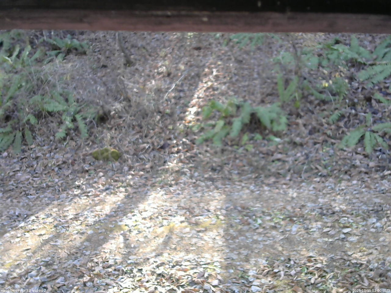 長野県菅平高原 ゆたか山荘 南側 2025/11/15 12:00