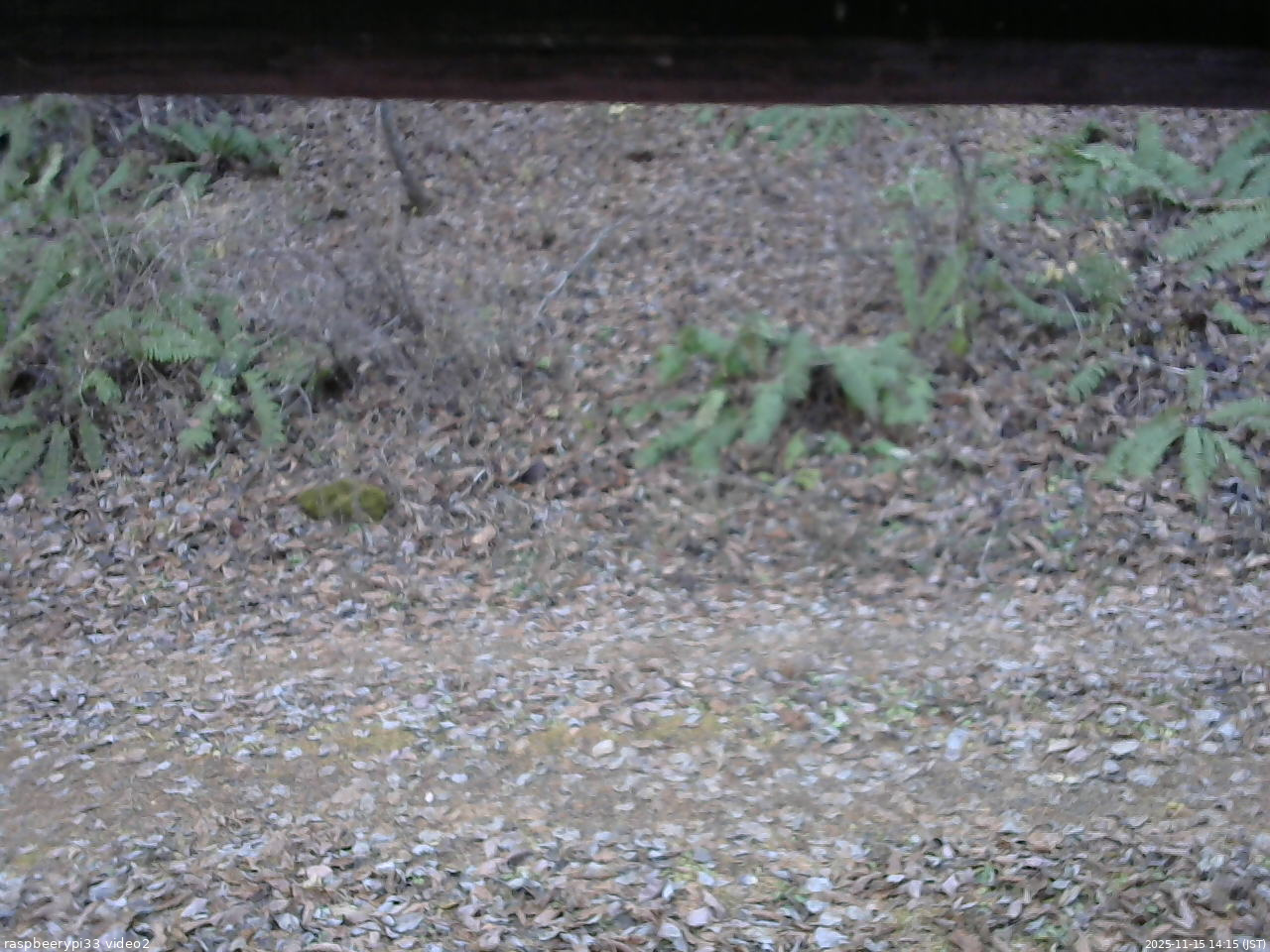 長野県菅平高原 ゆたか山荘 南側 2025/11/15 14:15