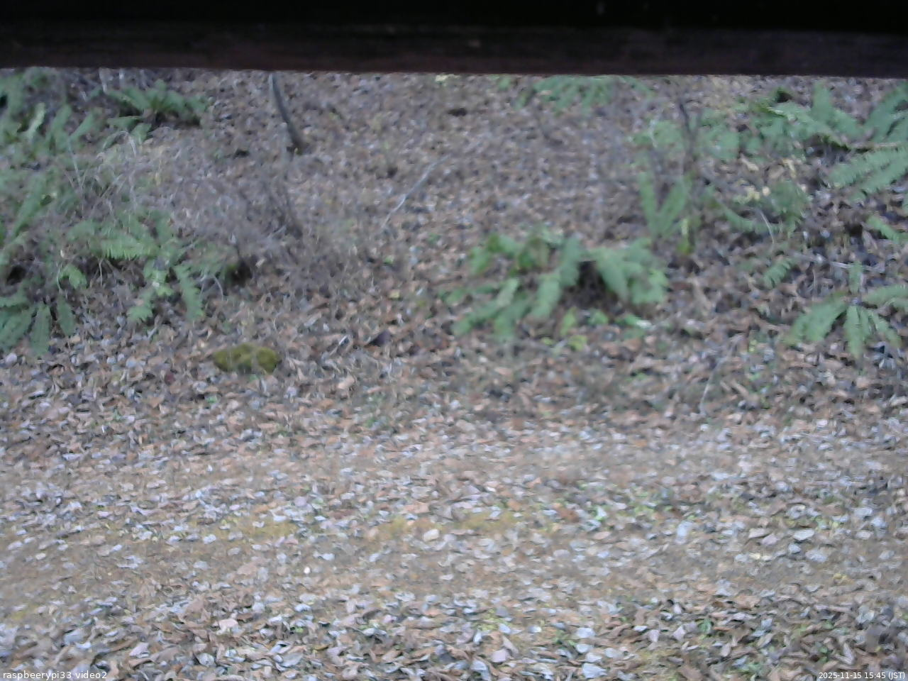 長野県菅平高原 ゆたか山荘 南側 2025/11/15 15:45