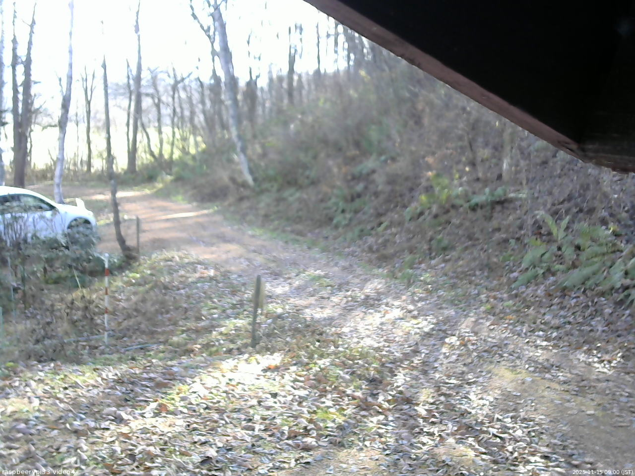 長野県菅平高原 ゆたか山荘 東側(坂下) 2025/11/15 09:00