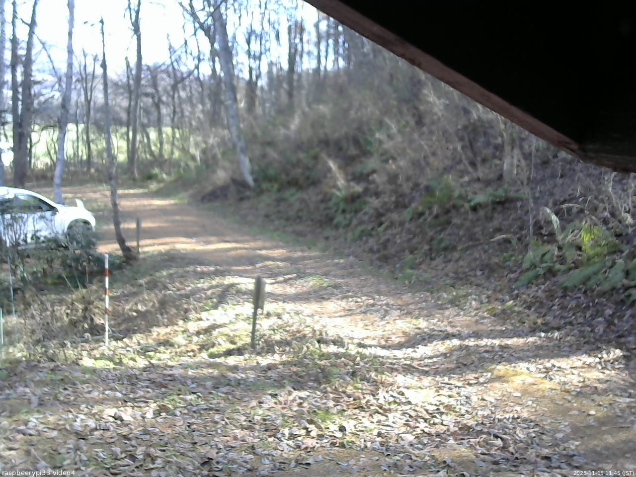 長野県菅平高原 ゆたか山荘 東側(坂下) 2025/11/15 11:45