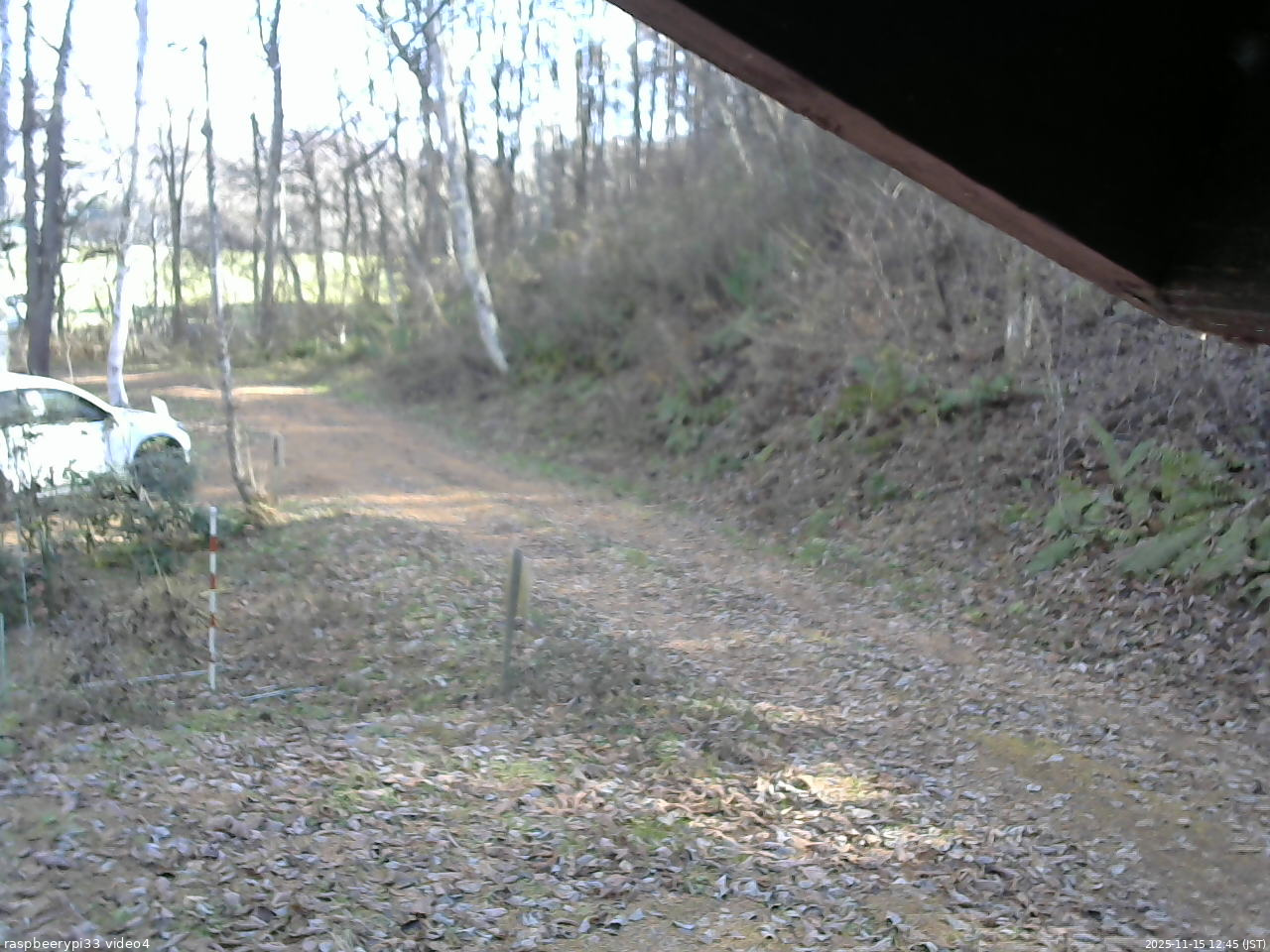 長野県菅平高原 ゆたか山荘 東側(坂下) 2025/11/15 12:45