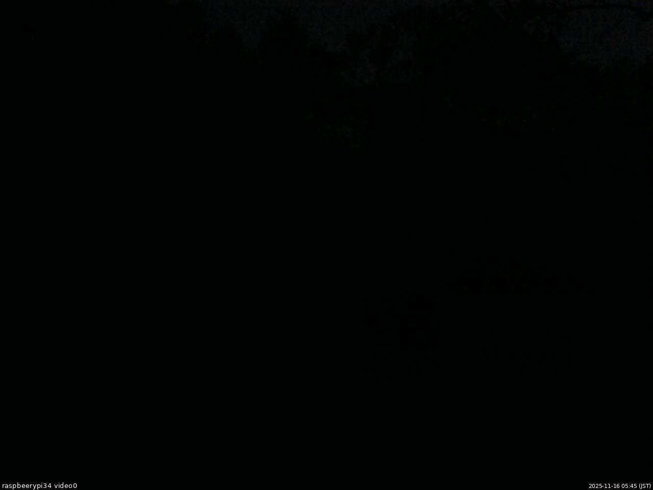 長野県菅平高原 ゆたか山荘 西側(坂上) 2025/11/16 05:45