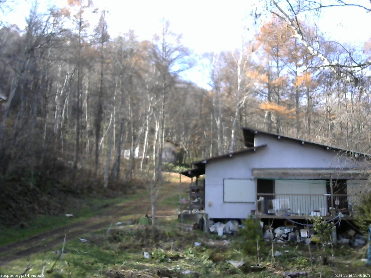 長野県菅平高原 ゆたか山荘 西側(坂上) 2025/11/16 11:45
