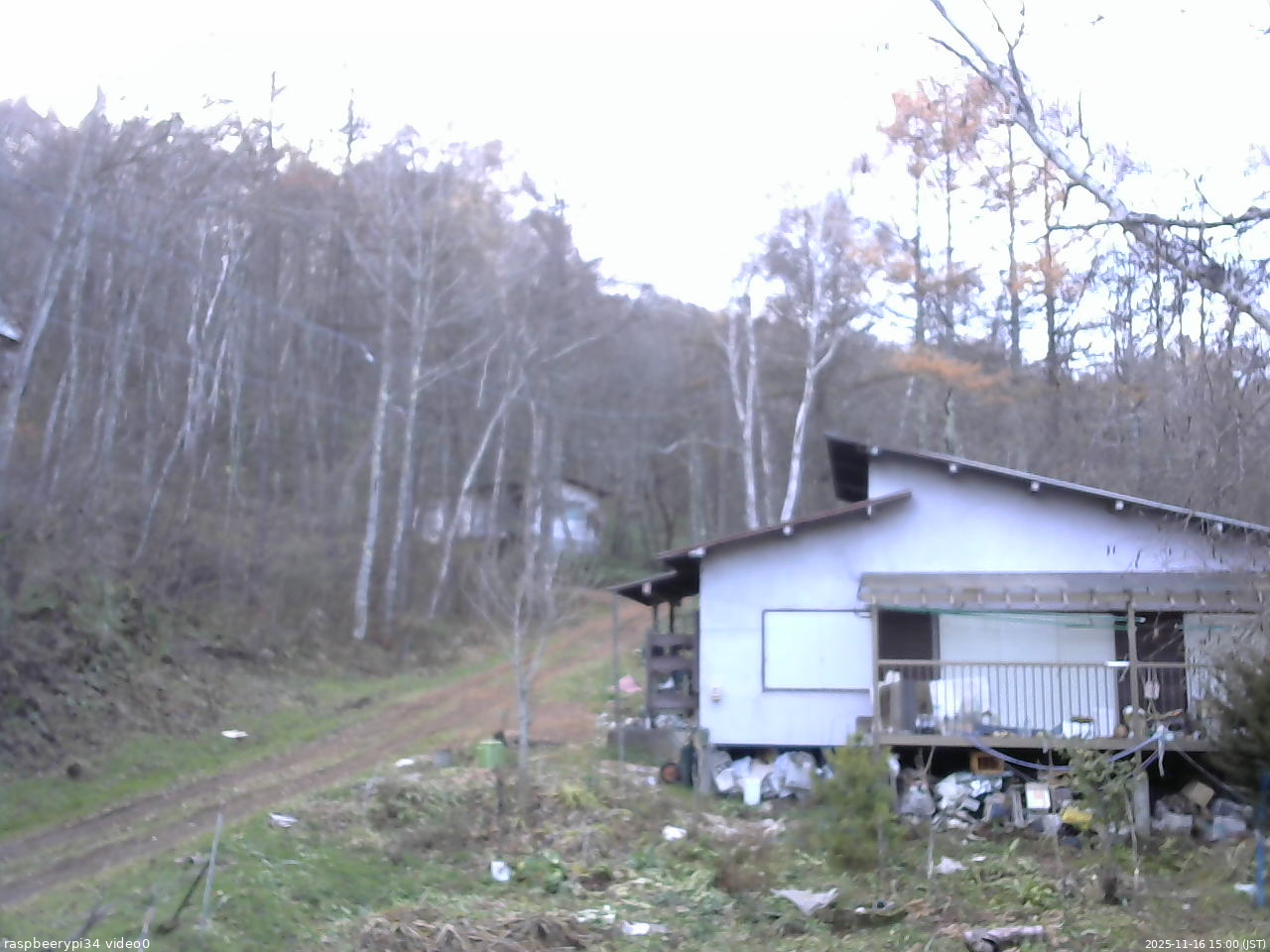 長野県菅平高原 ゆたか山荘 西側(坂上) 2025/11/16 15:00
