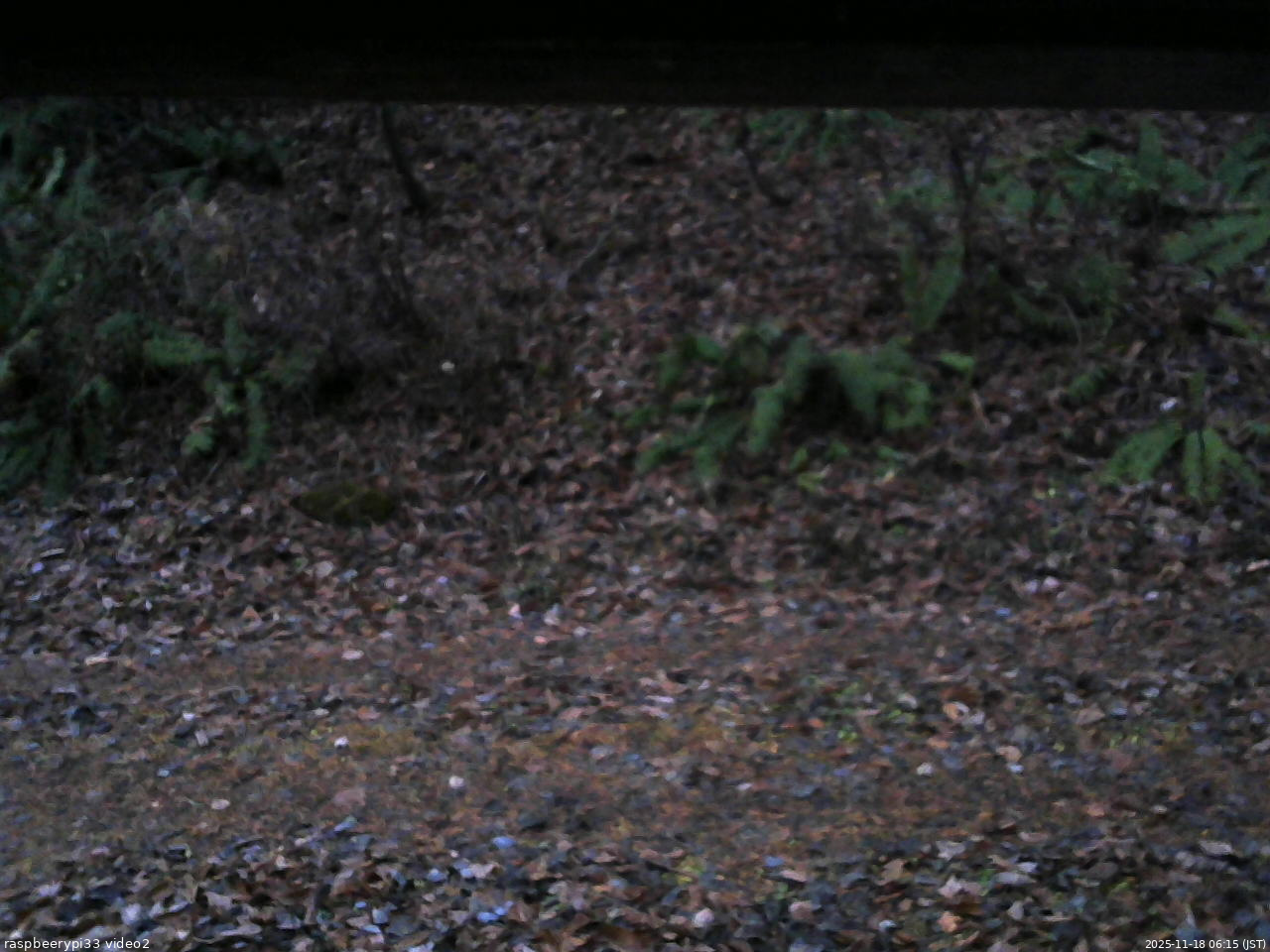 長野県菅平高原 ゆたか山荘 南側 2025/11/18 06:15