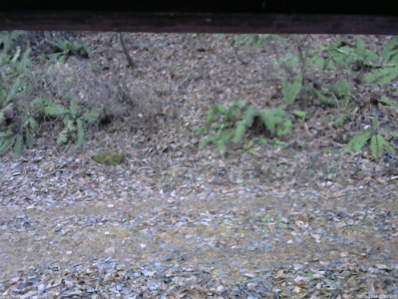 長野県菅平高原 ゆたか山荘 南側 2025/11/18 07:00