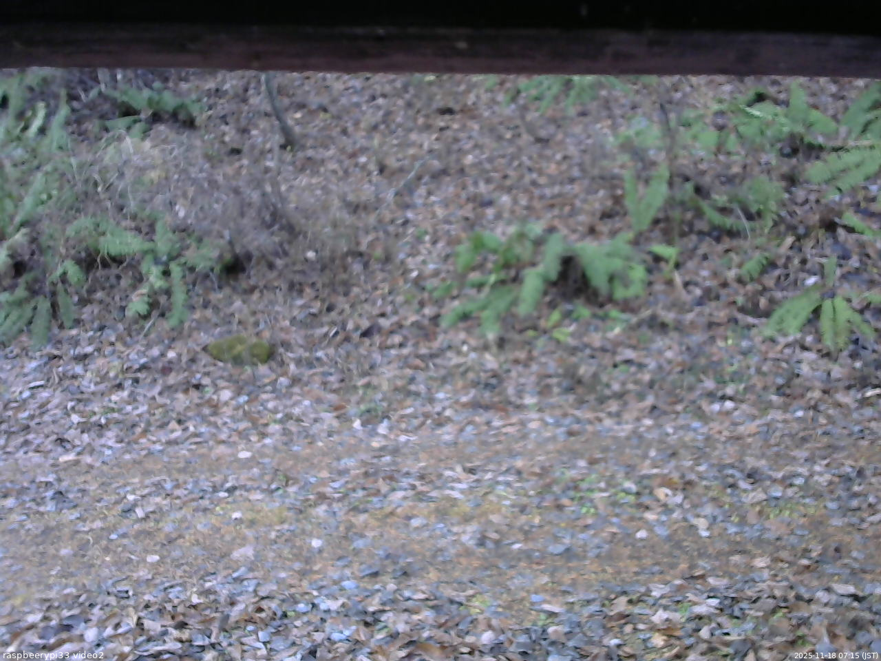 長野県菅平高原 ゆたか山荘 南側 2025/11/18 07:15
