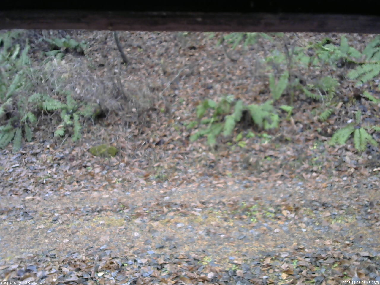 長野県菅平高原 ゆたか山荘 南側 2025/11/18 08:45