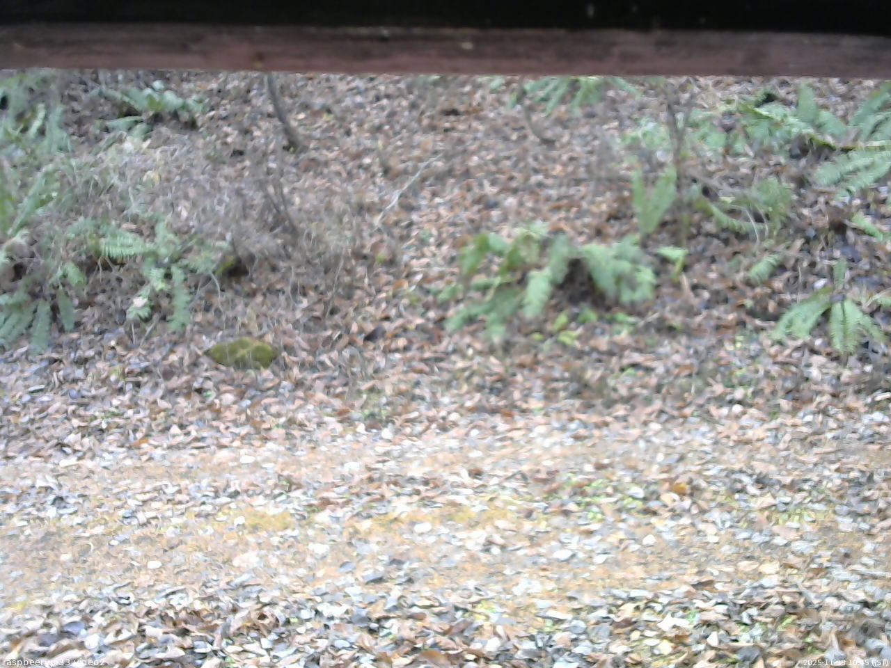 長野県菅平高原 ゆたか山荘 南側 2025/11/18 10:45