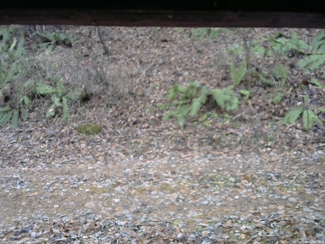 長野県菅平高原 ゆたか山荘 南側 2025/11/18 11:45