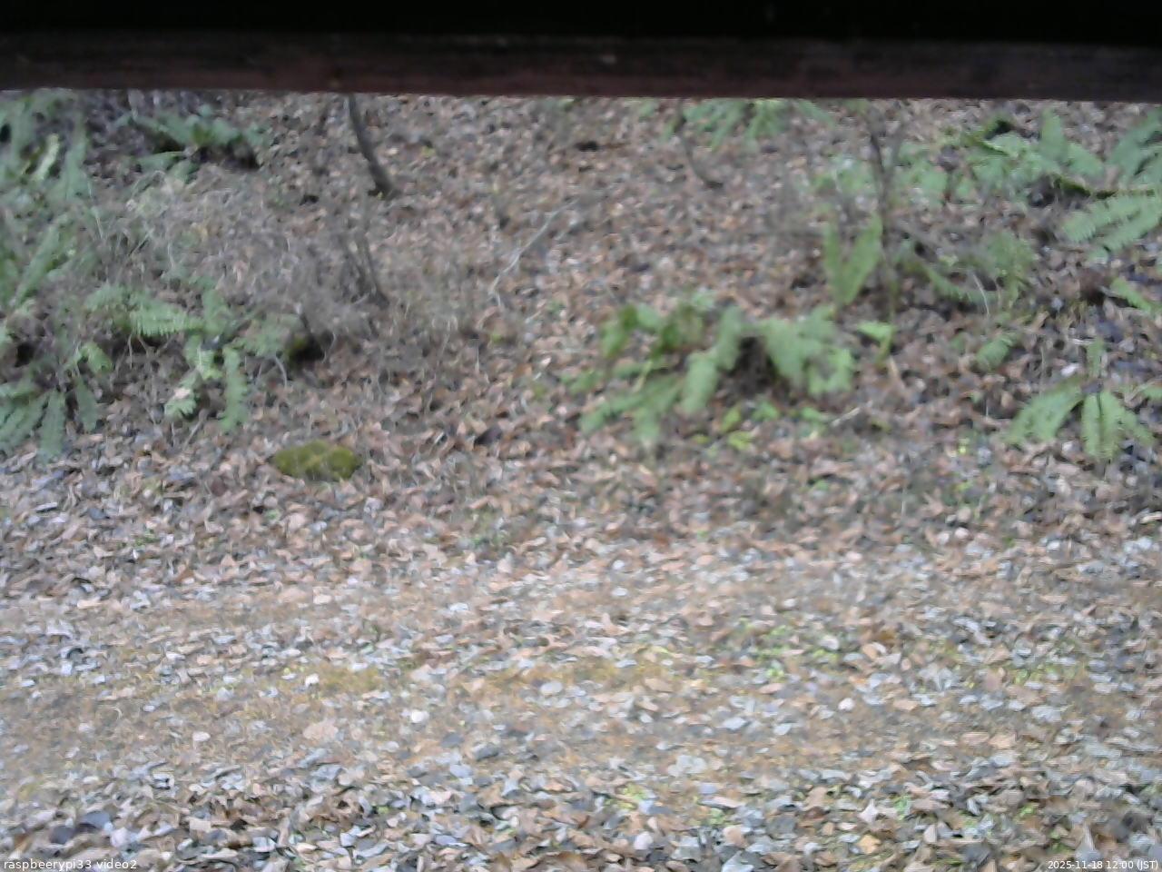 長野県菅平高原 ゆたか山荘 南側 2025/11/18 12:00