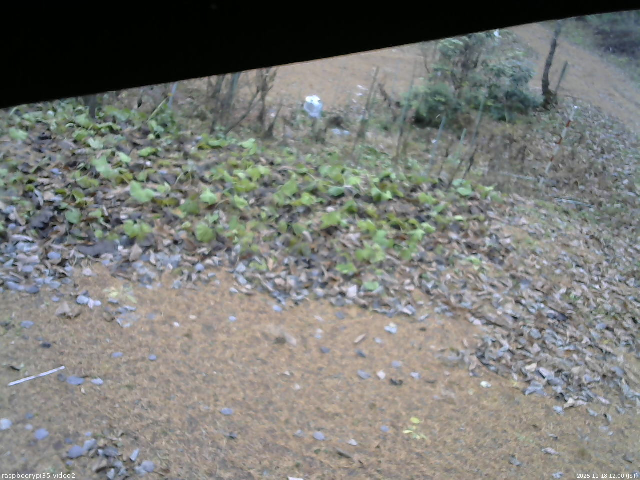 長野県菅平高原 ゆたか山荘 駐車場 2025/11/18 12:00
