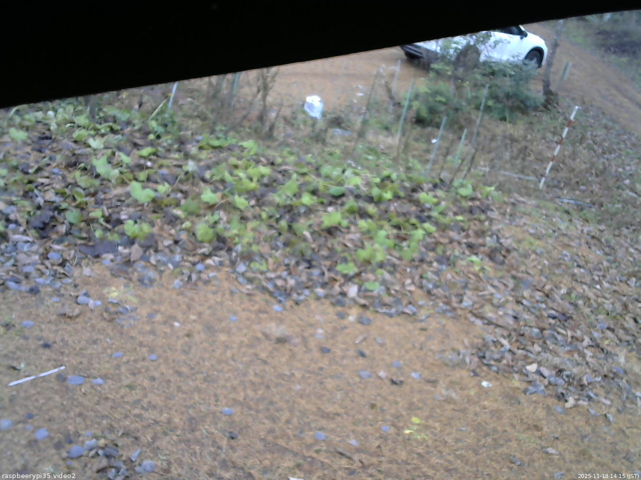 長野県菅平高原 ゆたか山荘 駐車場 2025/11/18 14:15