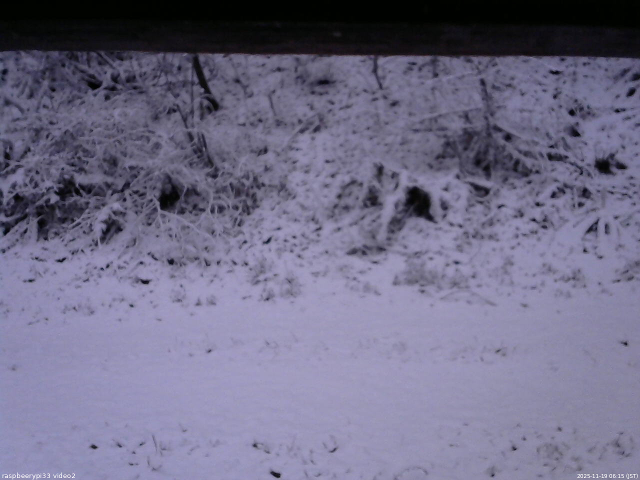 長野県菅平高原 ゆたか山荘 南側 2025/11/19 06:15