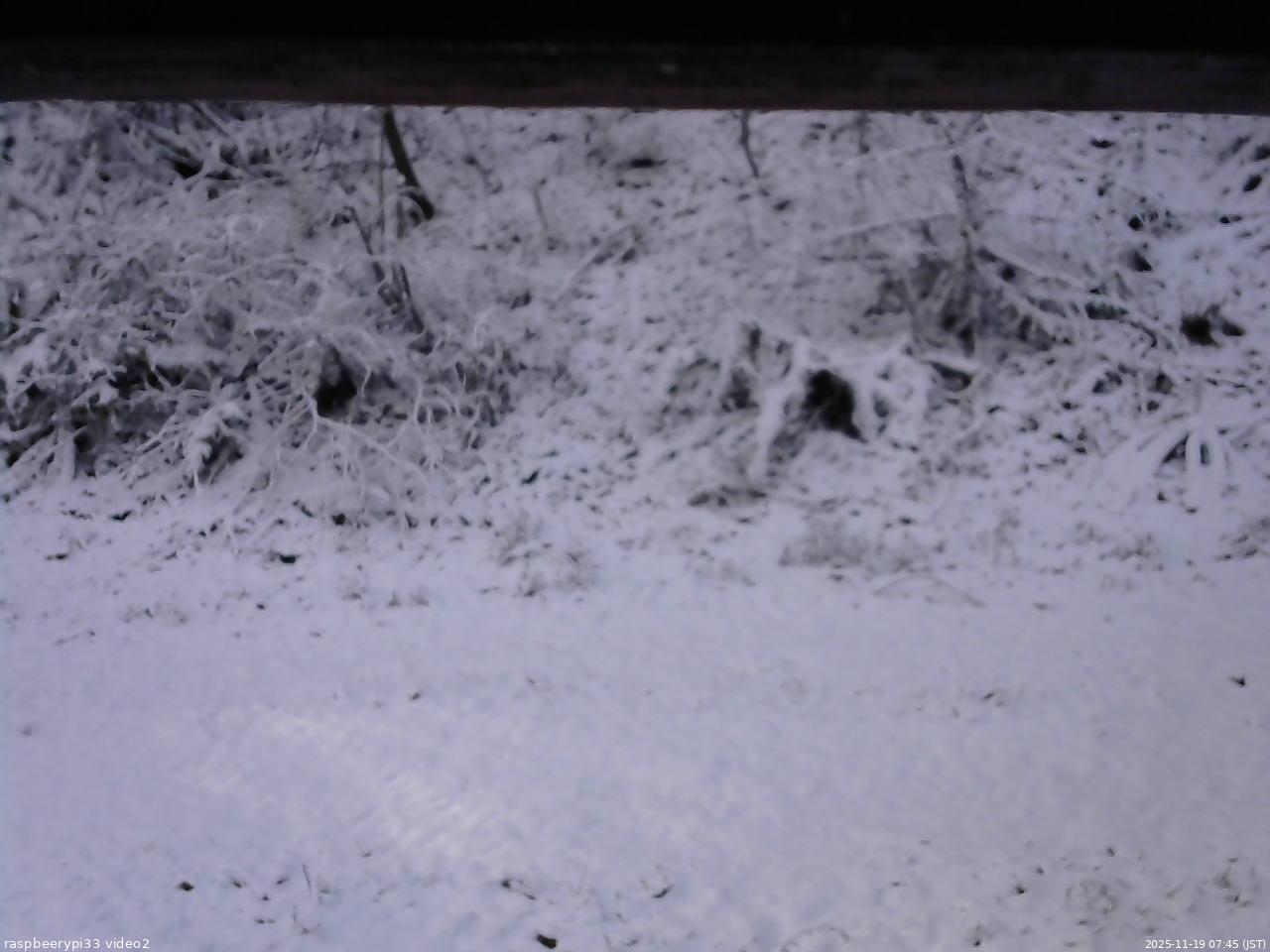 長野県菅平高原 ゆたか山荘 南側 2025/11/19 07:45