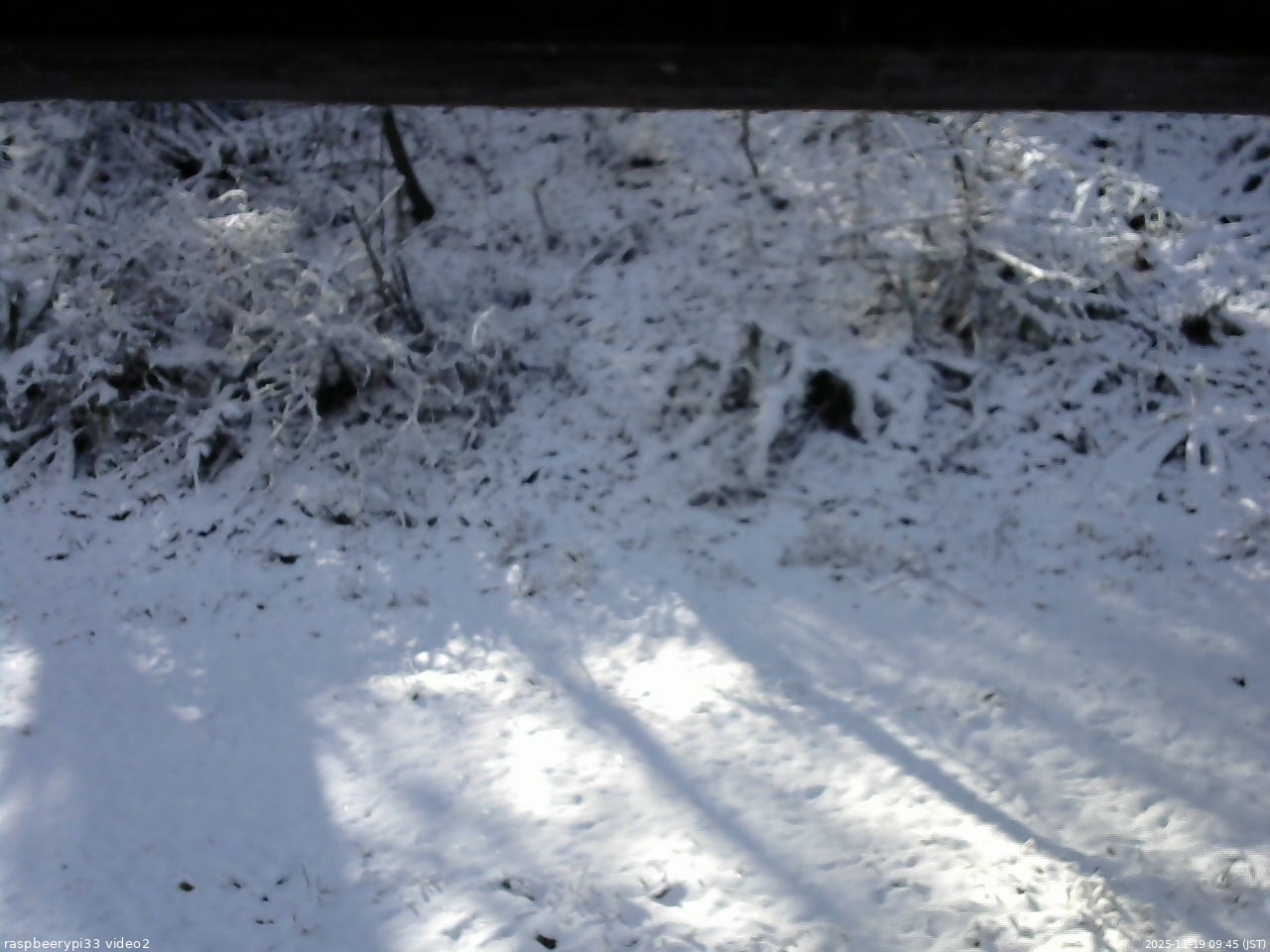 長野県菅平高原 ゆたか山荘 南側 2025/11/19 09:45