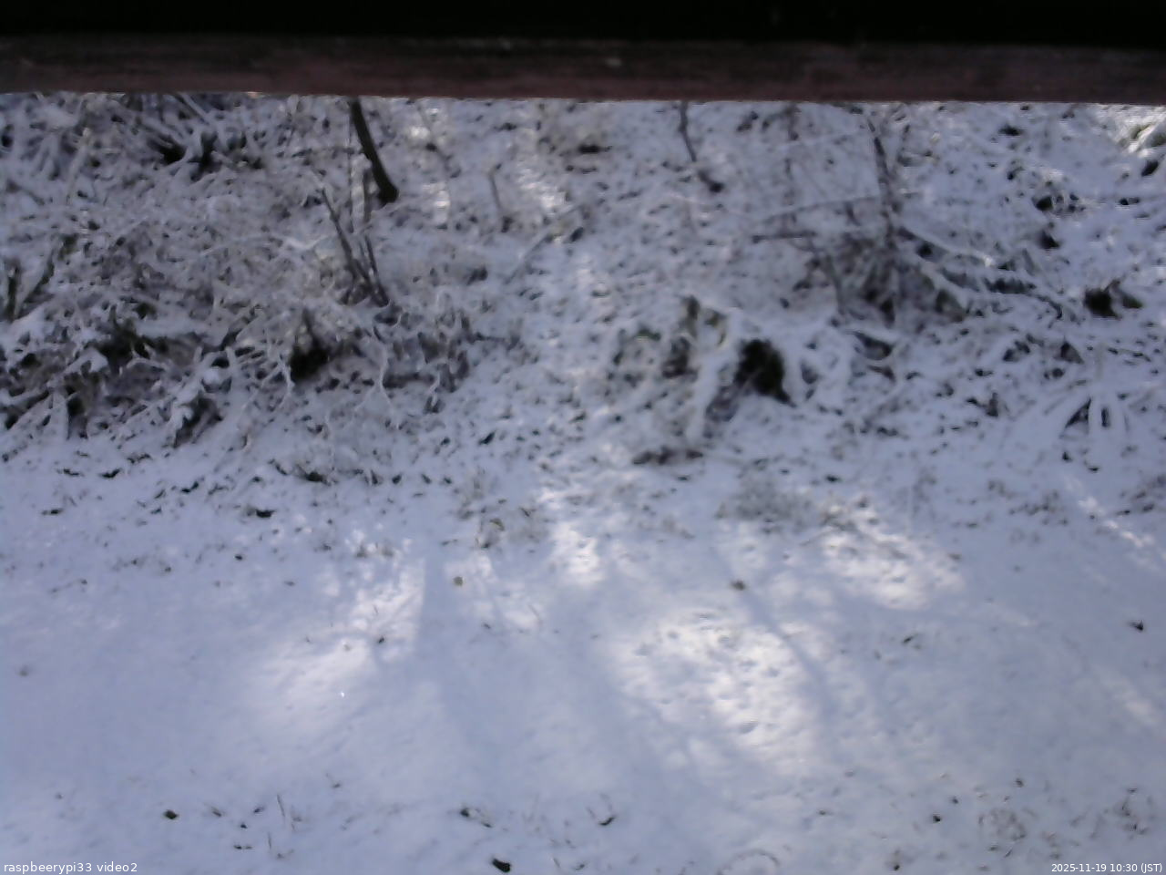 長野県菅平高原 ゆたか山荘 南側 2025/11/19 10:30