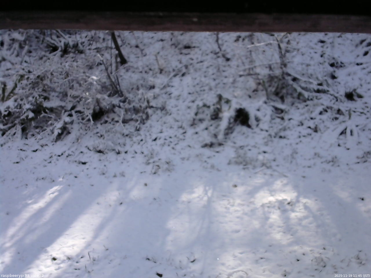長野県菅平高原 ゆたか山荘 南側 2025/11/19 11:45