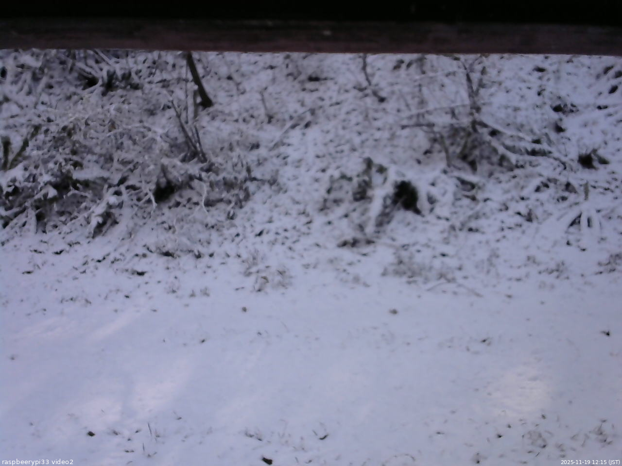 長野県菅平高原 ゆたか山荘 南側 2025/11/19 12:15