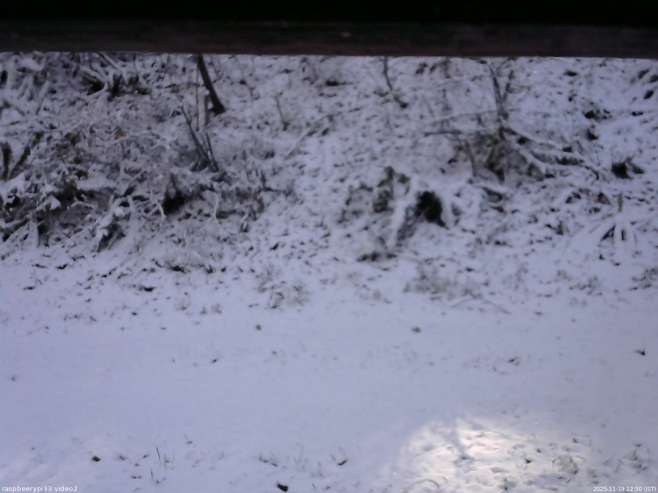 長野県菅平高原 ゆたか山荘 南側 2025/11/19 12:30
