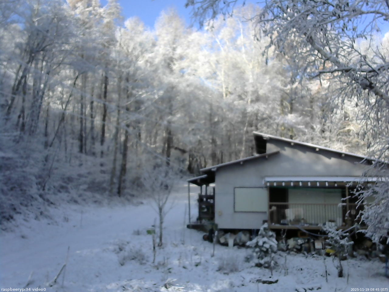 長野県菅平高原 ゆたか山荘 西側(坂上) 2025/11/19 08:45
