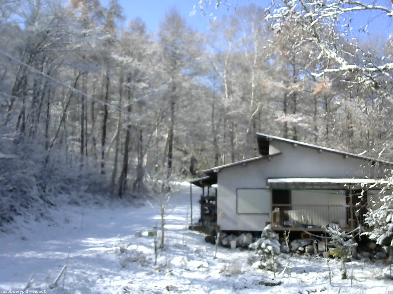長野県菅平高原 ゆたか山荘 西側(坂上) 2025/11/19 11:00
