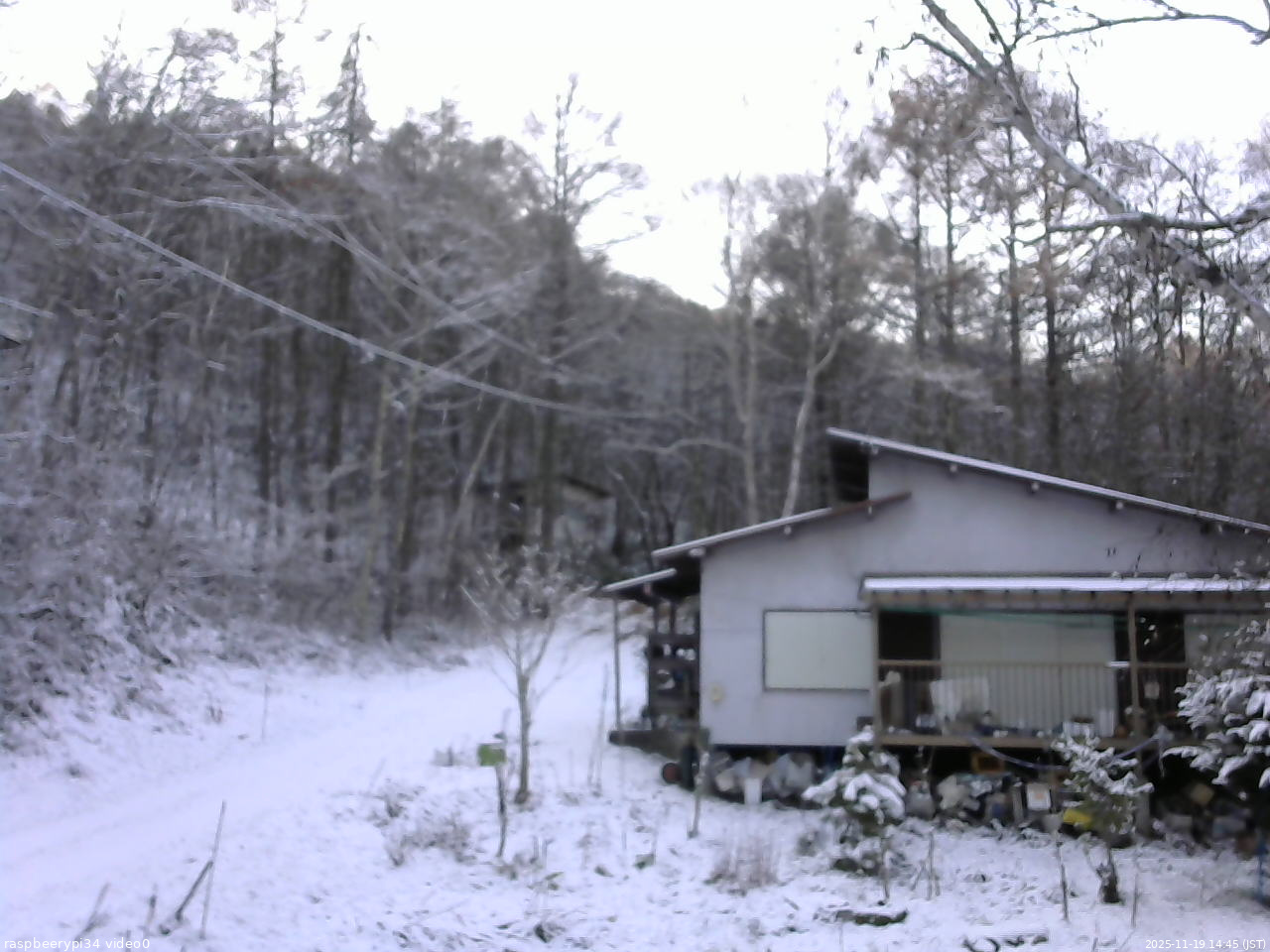 長野県菅平高原 ゆたか山荘 西側(坂上) 2025/11/19 14:45