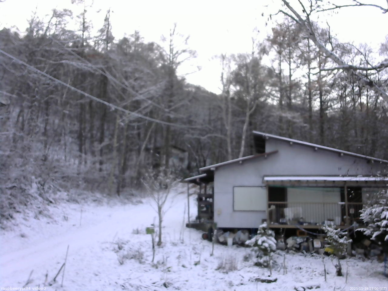 長野県菅平高原 ゆたか山荘 西側(坂上) 2025/11/19 15:00