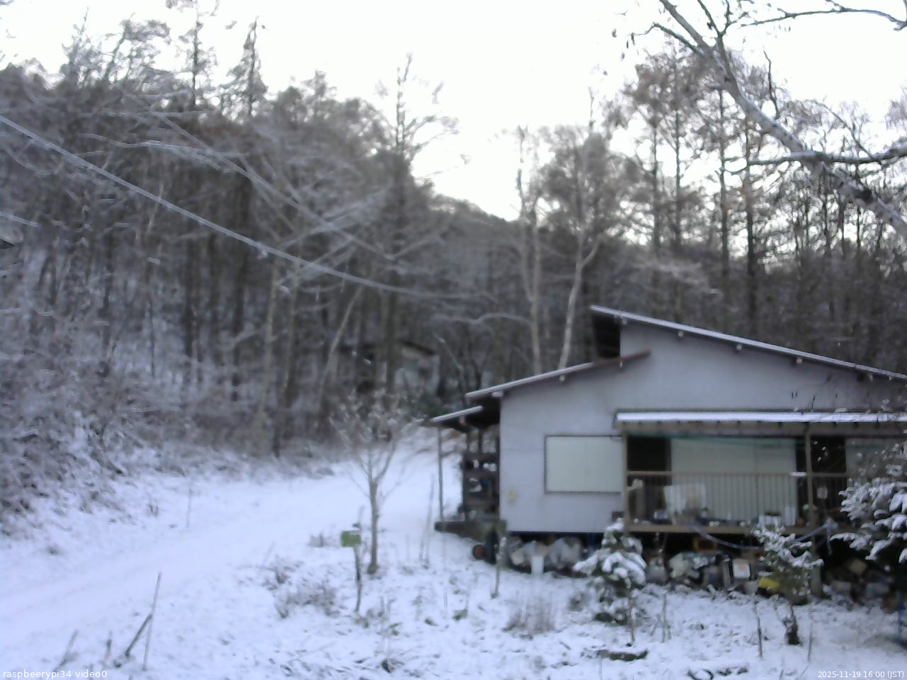 長野県菅平高原 ゆたか山荘 西側(坂上) 2025/11/19 16:00