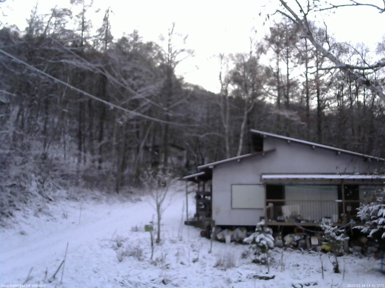 長野県菅平高原 ゆたか山荘 西側(坂上) 2025/11/19 16:45