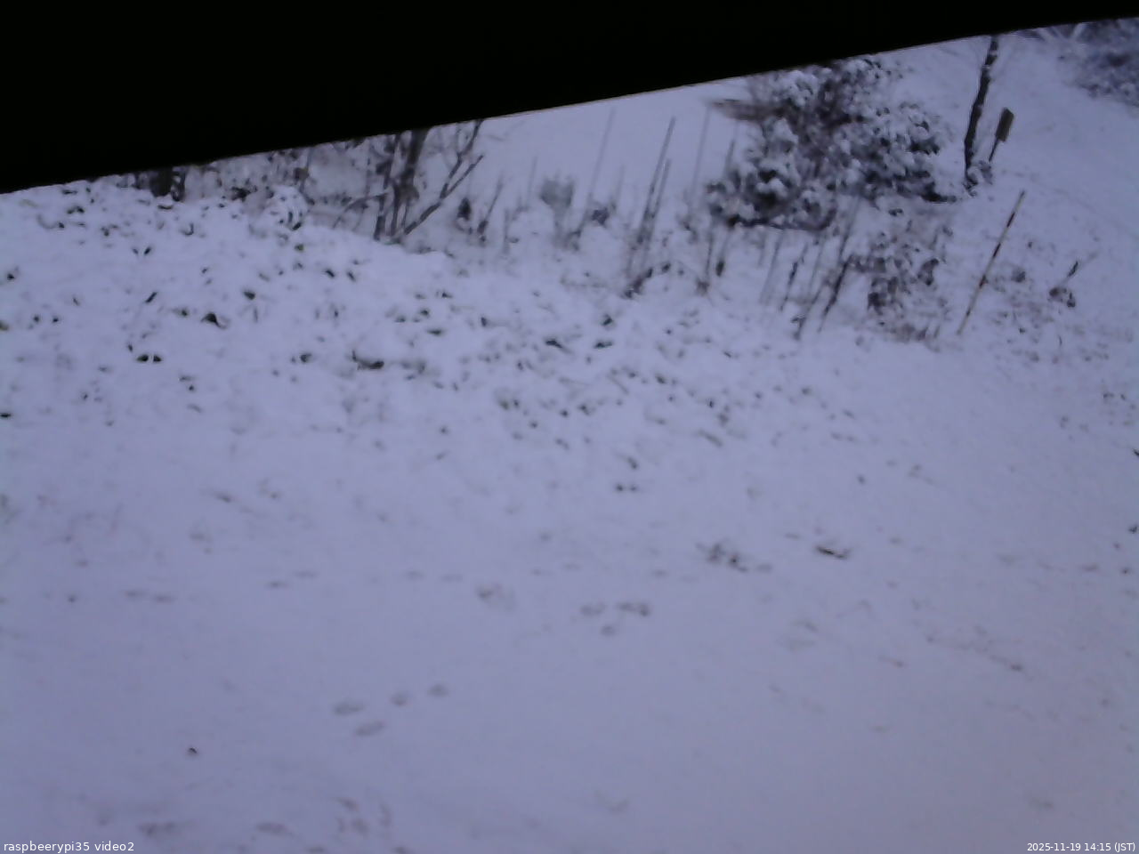 長野県菅平高原 ゆたか山荘 駐車場 2025/11/19 14:15