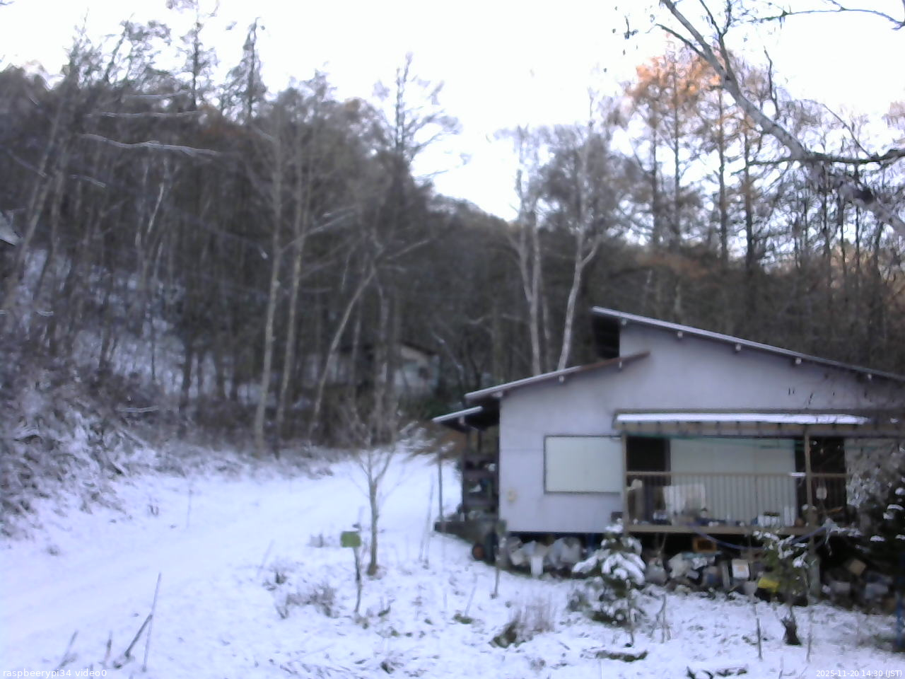 長野県菅平高原 ゆたか山荘 西側(坂上) 2025/11/20 14:30