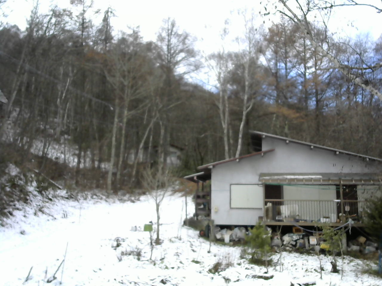 長野県菅平高原 ゆたか山荘 西側(坂上) 2025/11/21 11:15