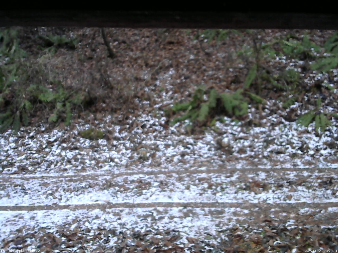 長野県菅平高原 ゆたか山荘 南側 2025/11/22 06:45