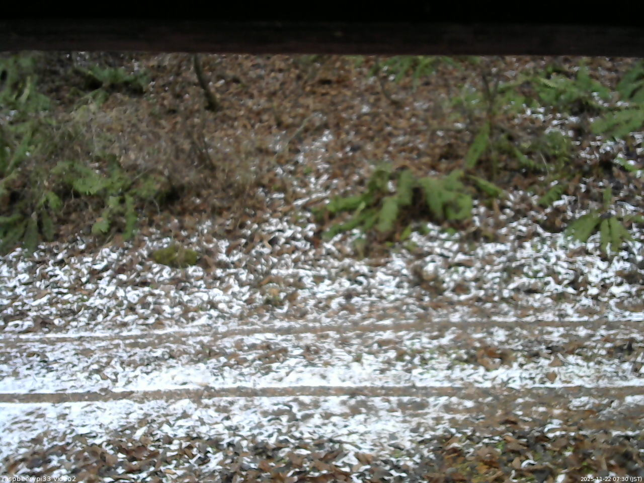 長野県菅平高原 ゆたか山荘 南側 2025/11/22 07:30