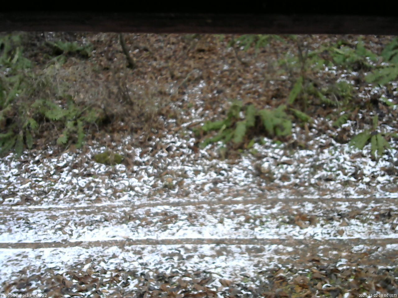 長野県菅平高原 ゆたか山荘 南側 2025/11/22 08:00