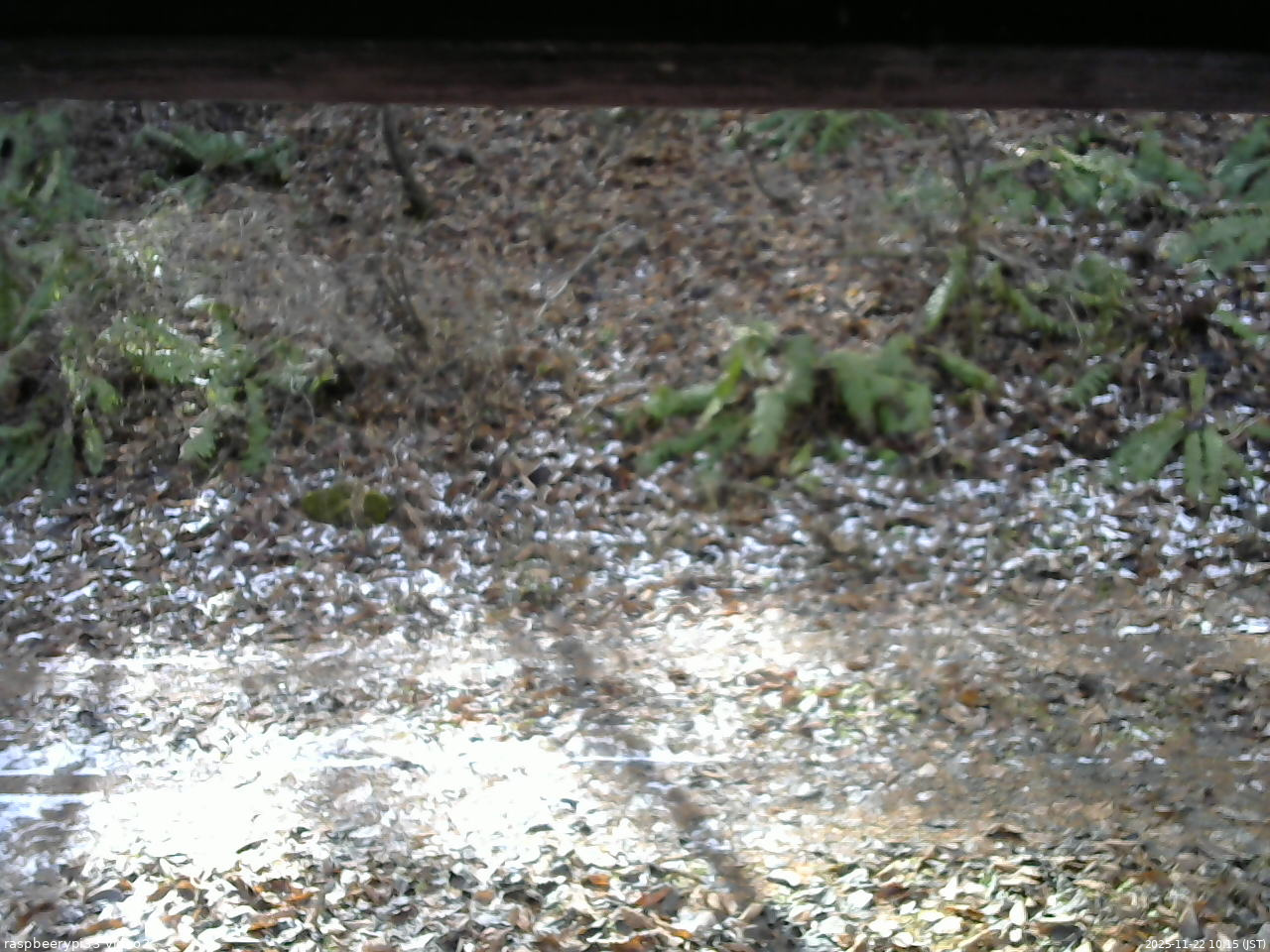 長野県菅平高原 ゆたか山荘 南側 2025/11/22 10:15