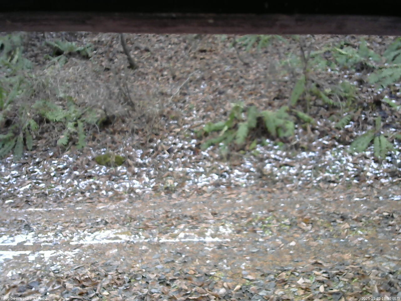 長野県菅平高原 ゆたか山荘 南側 2025/11/22 10:30