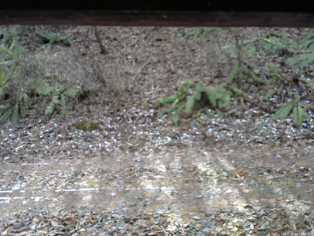 長野県菅平高原 ゆたか山荘 南側 2025/11/22 11:00