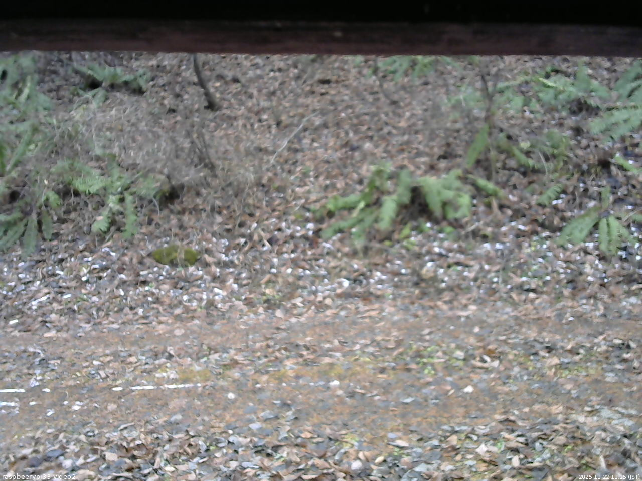 長野県菅平高原 ゆたか山荘 南側 2025/11/22 11:15