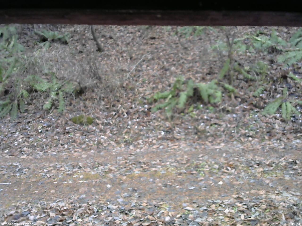 長野県菅平高原 ゆたか山荘 南側 2025/11/22 11:45