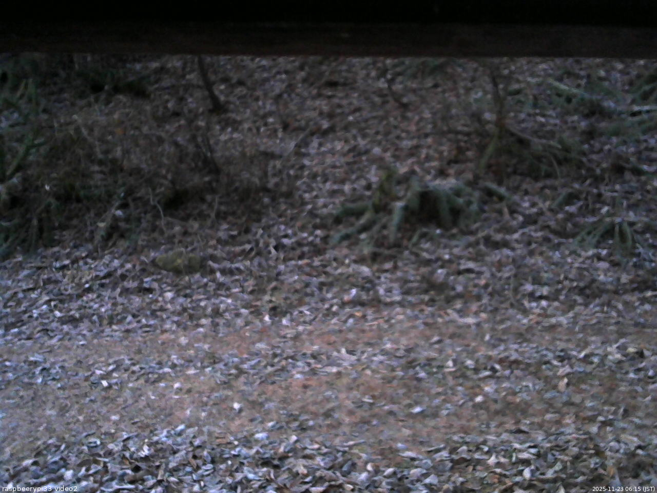 長野県菅平高原 ゆたか山荘 南側 2025/11/23 06:15