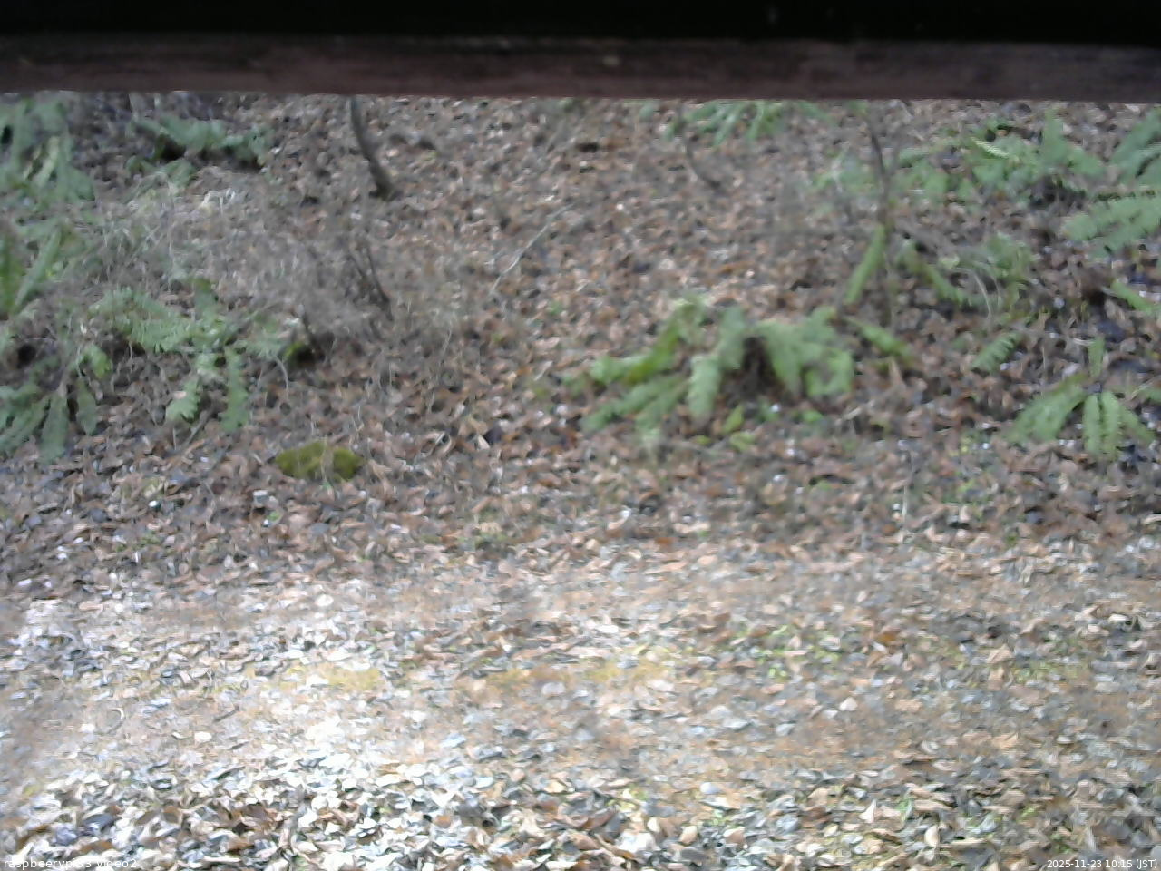 長野県菅平高原 ゆたか山荘 南側 2025/11/23 10:15