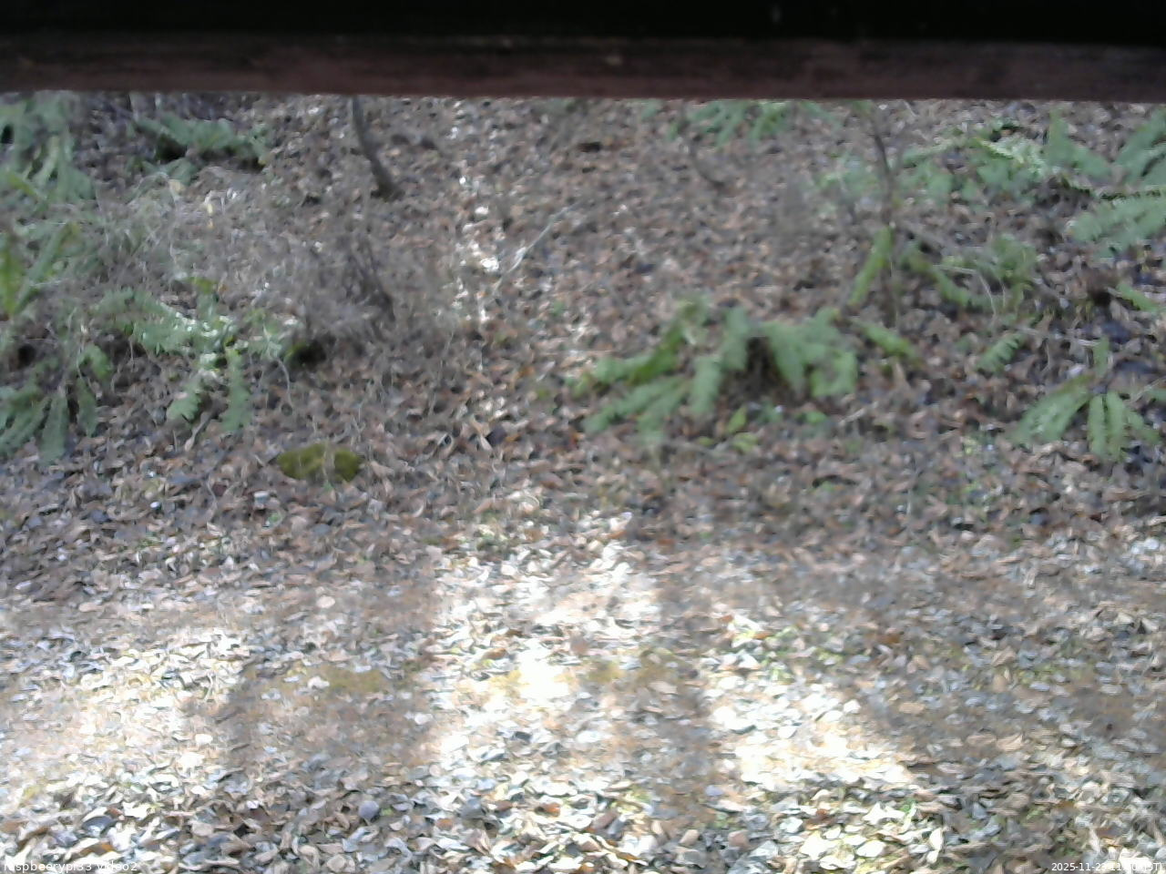 長野県菅平高原 ゆたか山荘 南側 2025/11/23 11:00