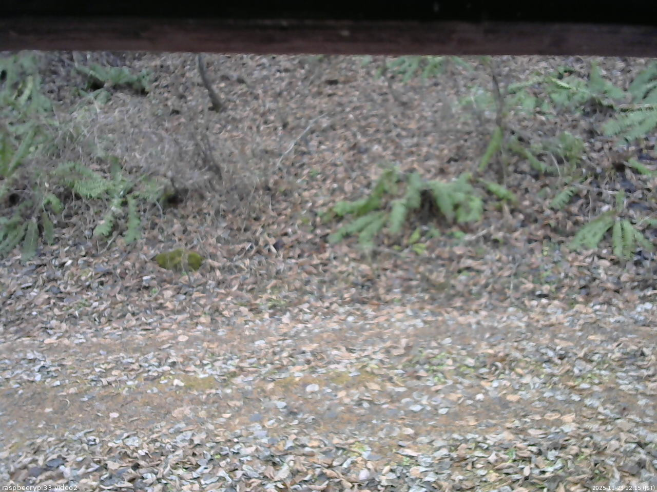 長野県菅平高原 ゆたか山荘 南側 2025/11/23 12:15