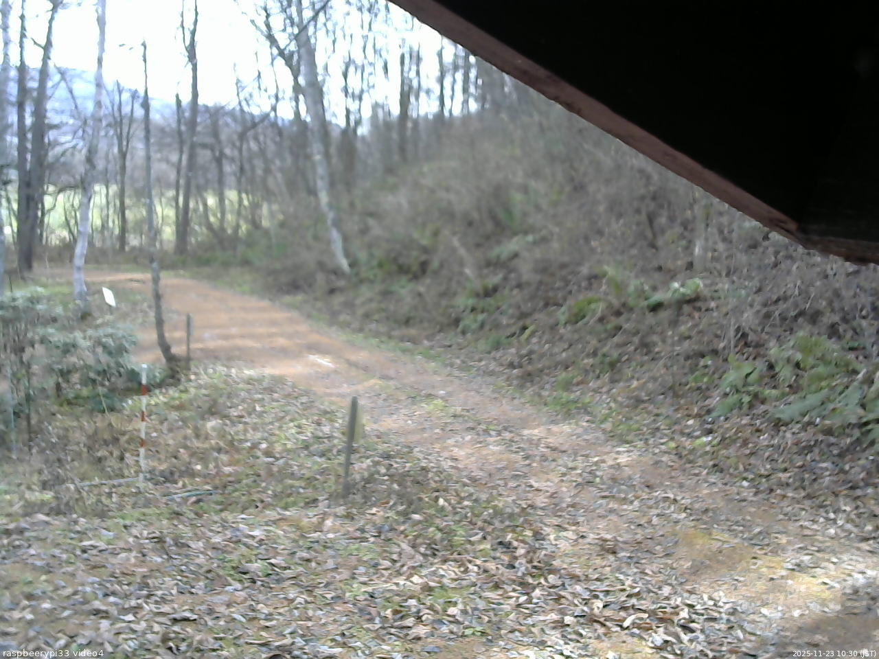 長野県菅平高原 ゆたか山荘 東側(坂下) 2025/11/23 10:30