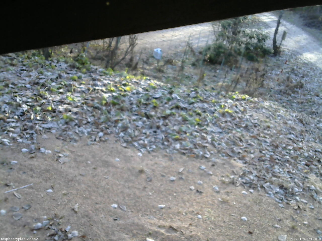 長野県菅平高原 ゆたか山荘 駐車場 2025/11/24 07:15